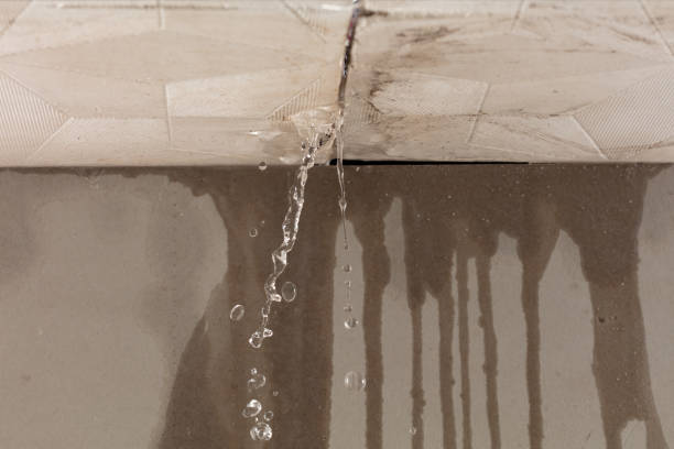 Professional Water Damage Repair technician working in Lane, KS